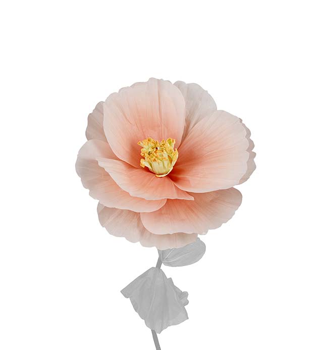 4920-32, Blomma Signe