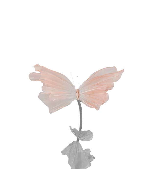 4922-32, Fjäril Lova