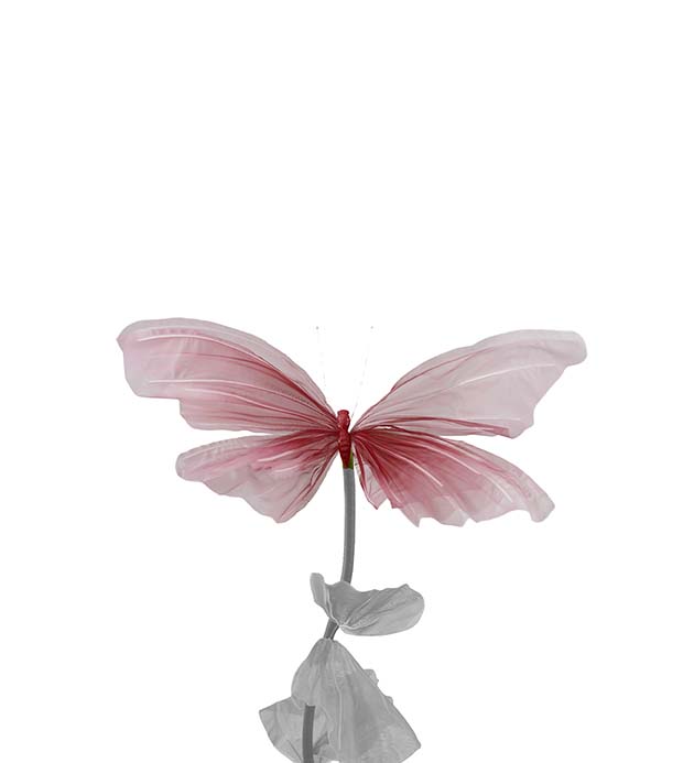 4922-45, Fjäril Lova