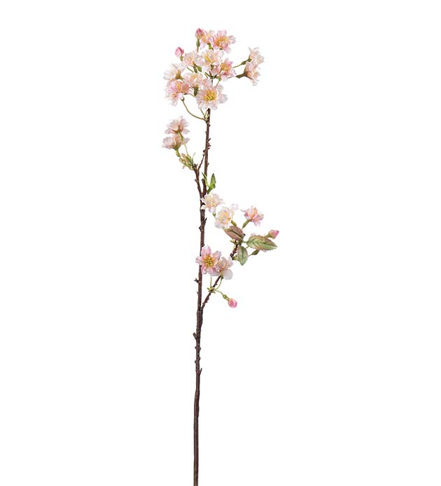 4933-21, Körsbärsblom