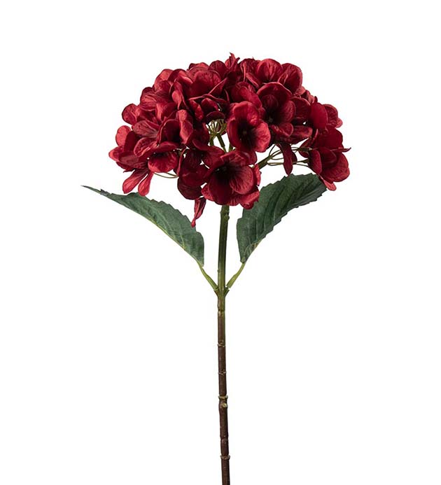 4934-85 - Hortensia