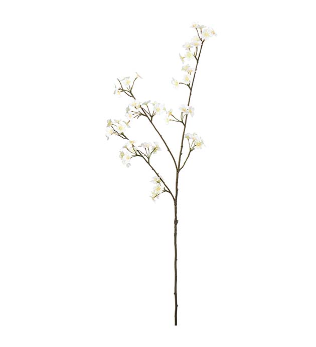 4946-11, Persikoblom