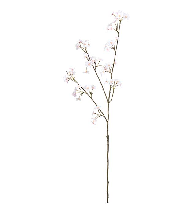 4946-21, Persikoblom