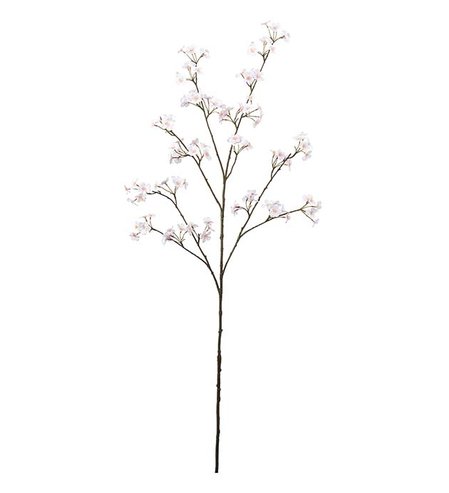 4947-21, Persikoblom