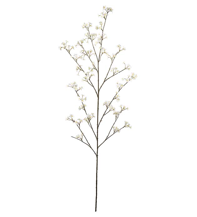 4948-11, Persikoblom