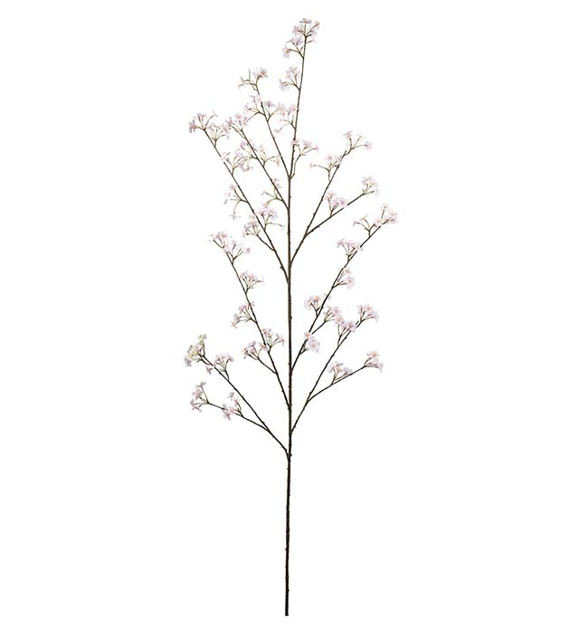 4948-21, Persikoblom