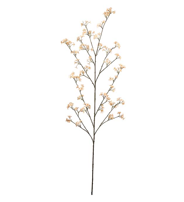 4948-31, Persikoblom