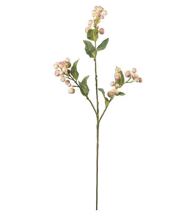 4955-21, Äppelkvist