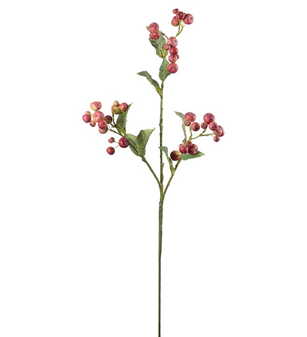 4955-80, Äppelkvist