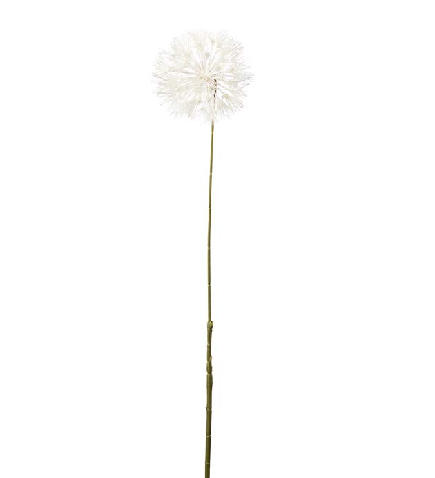 4979-01, Dandelion