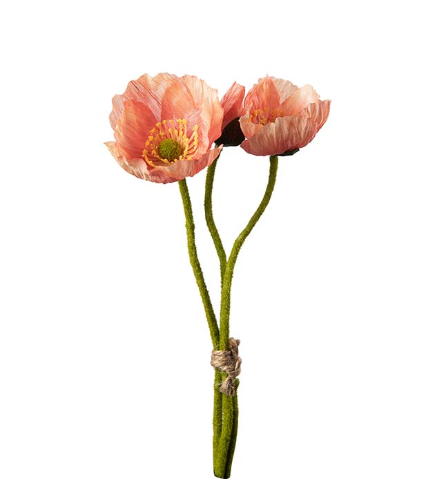 4994-23, Vallmo bunt