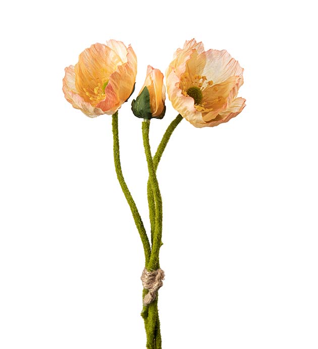 4994-32, Vallmo bunt