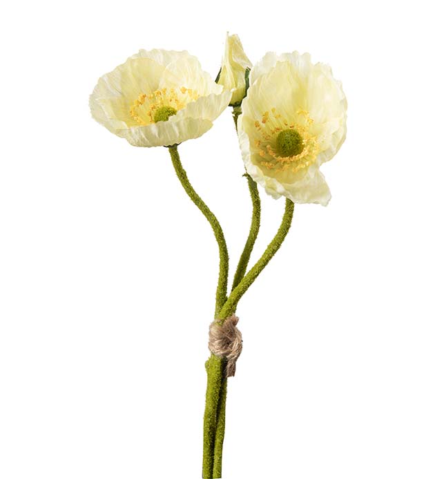 4994-50, Vallmo bunt