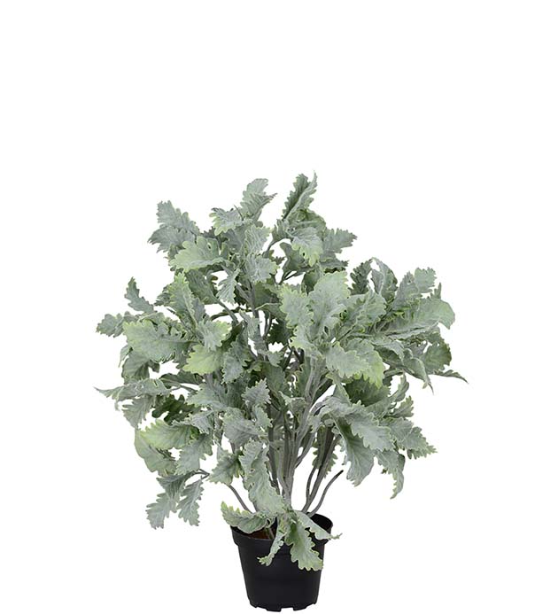 5041-95 - Silverek