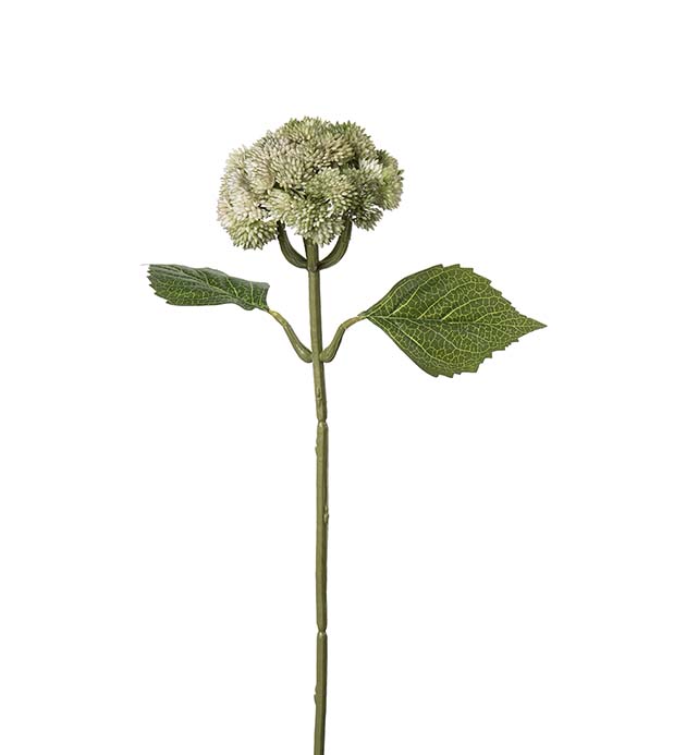 5066-90, Sedum