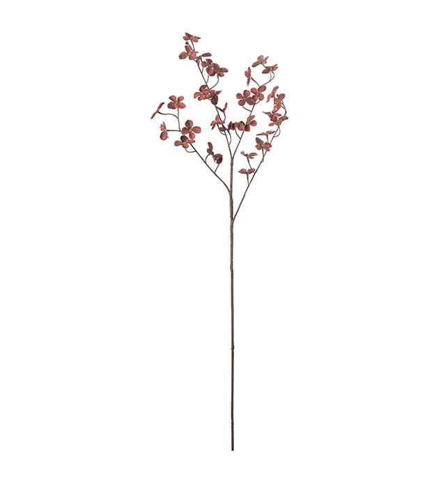 5068-85, Hortensia
