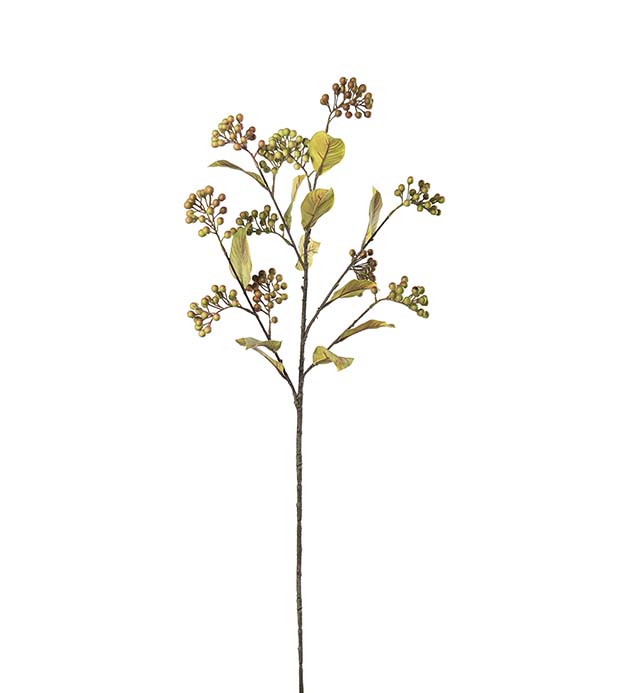 5092-96, Bärkvist