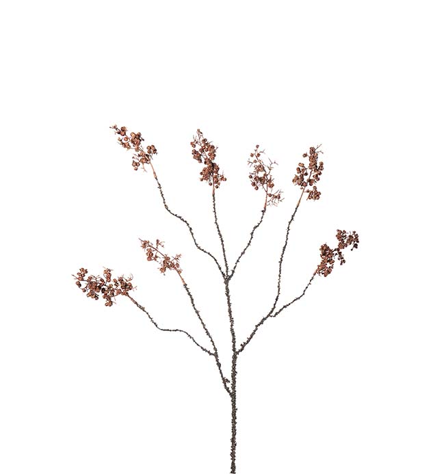 5095-70, Bärkvist