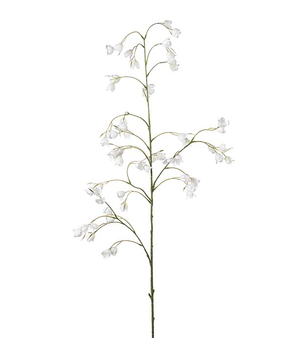 5098-10, Blomkvist