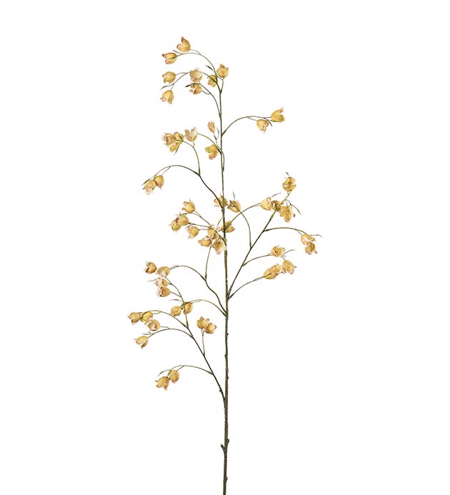 5098-50, Blomkvist