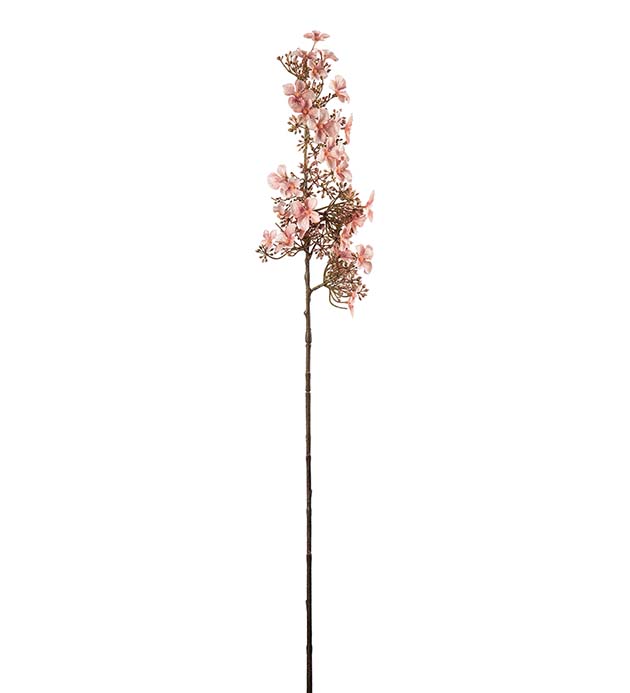 5149-21, Hortensia