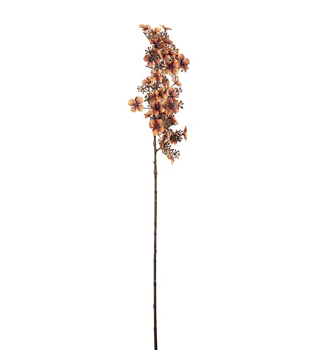 5149-71, Hortensia