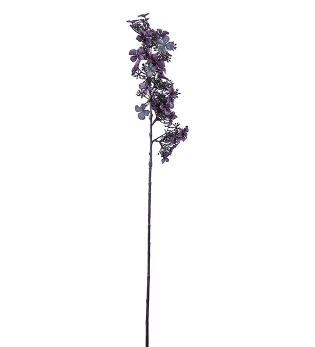 5149-85, Hortensia