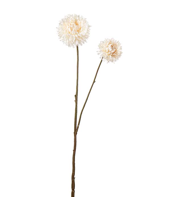 5161-11, Chrysanthemum