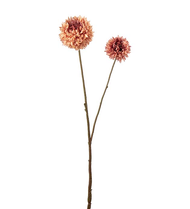 5161-31, Chrysanthemum