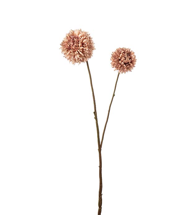 5161-71, Chrysanthemum