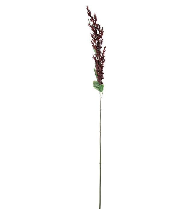 5309-85, Amaranthus