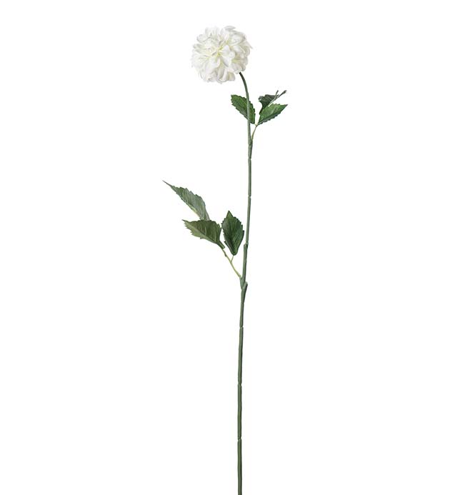 5314-10, Dahlia