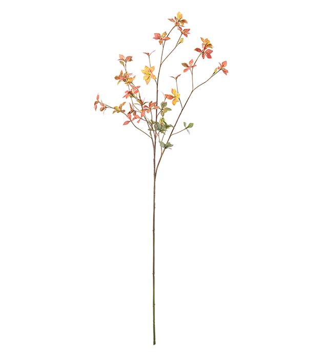 5323-35, Enkianthus