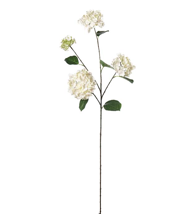 5332-11, Hortensia