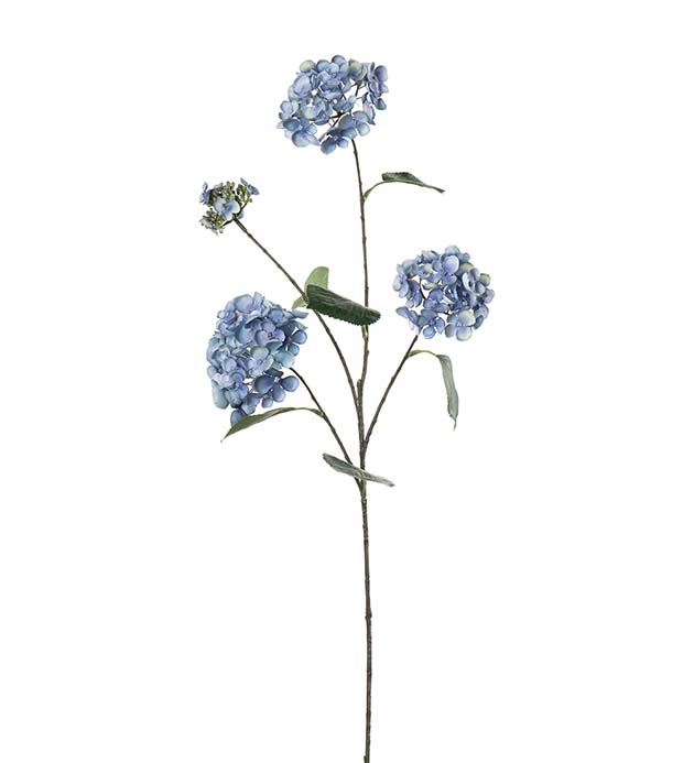 5332-60, Hortensia