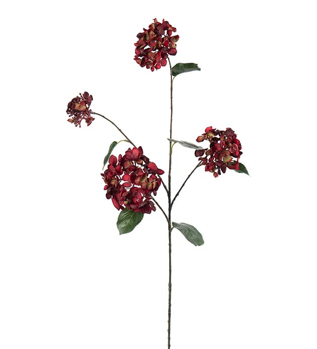 5332-80, Hortensia