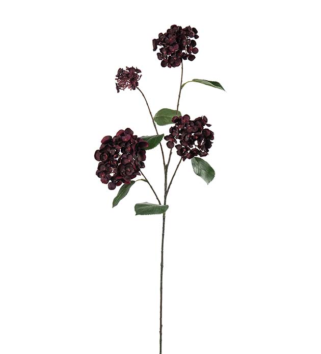5332-85, Hortensia