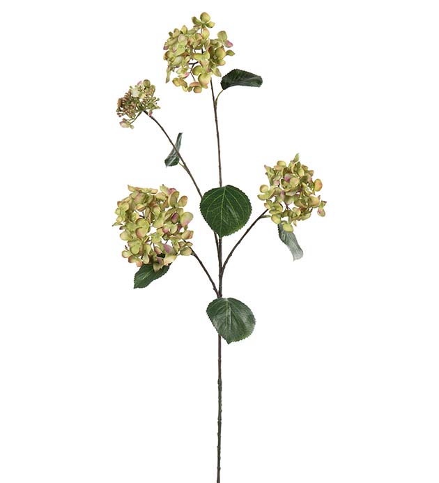 5332-90, Hortensia