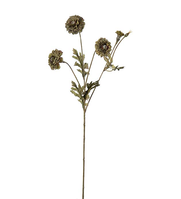 5383-90, Tagetes