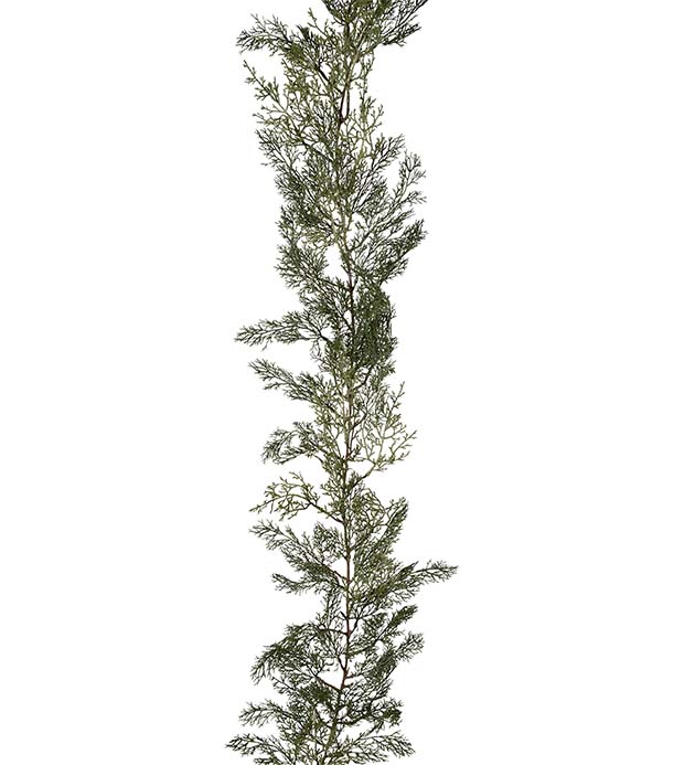 5433-90, Cypressgirlang