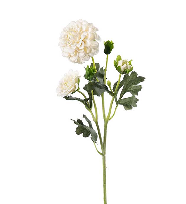 5460-11, Chrysanthemum