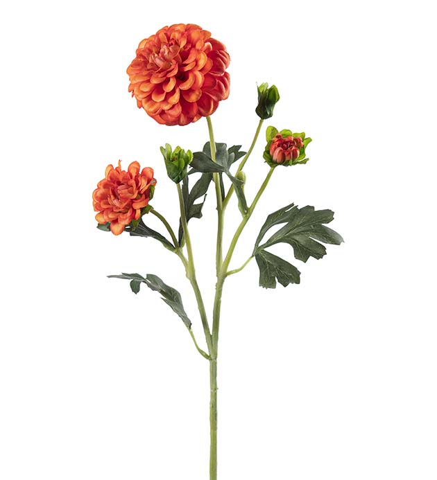 5460-35, Chrysanthemum