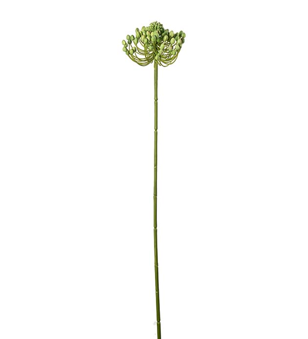 5476-90, Bärkvist