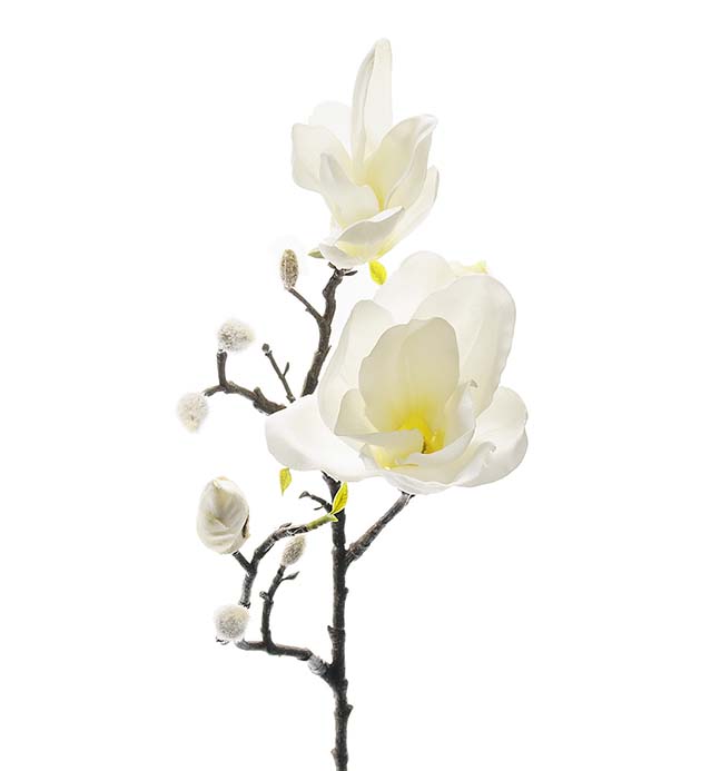 6173-10 - Magnolia 60 cm