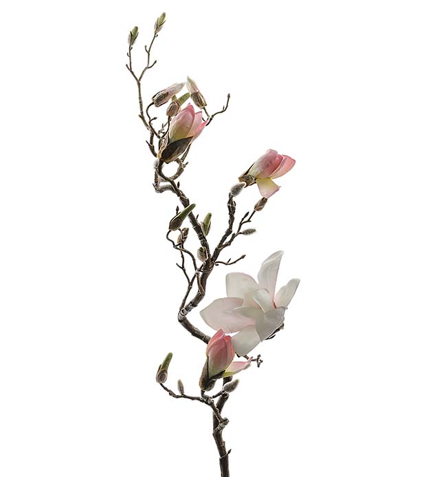 6175-20 - Magnolia 135 cm