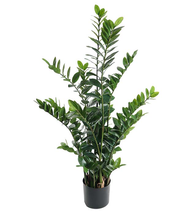 7107-130 - Zamifolia 130 cm