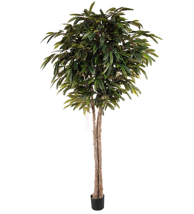 7116-260 - Longifolia 260 cm