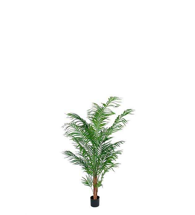 7149-120 - Areca Palm 120 cm