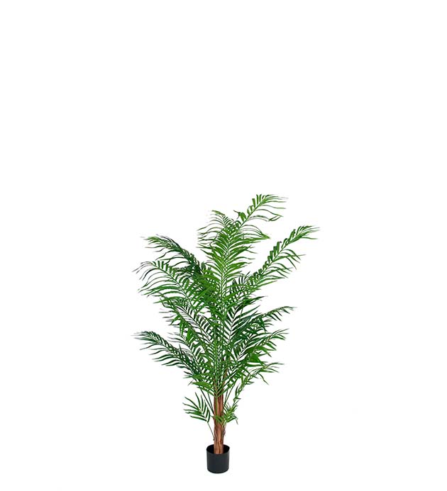 7149-150 - Areca Palm 150 cm