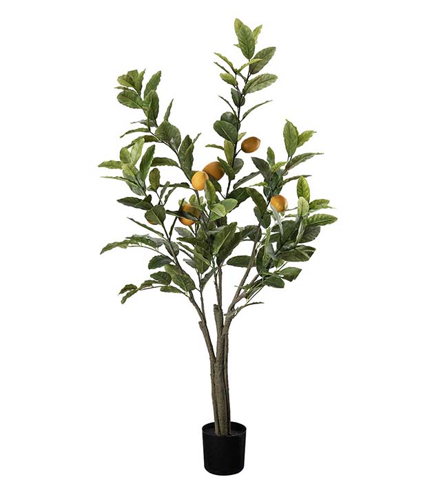 7207-120, Citronträd 120 cm